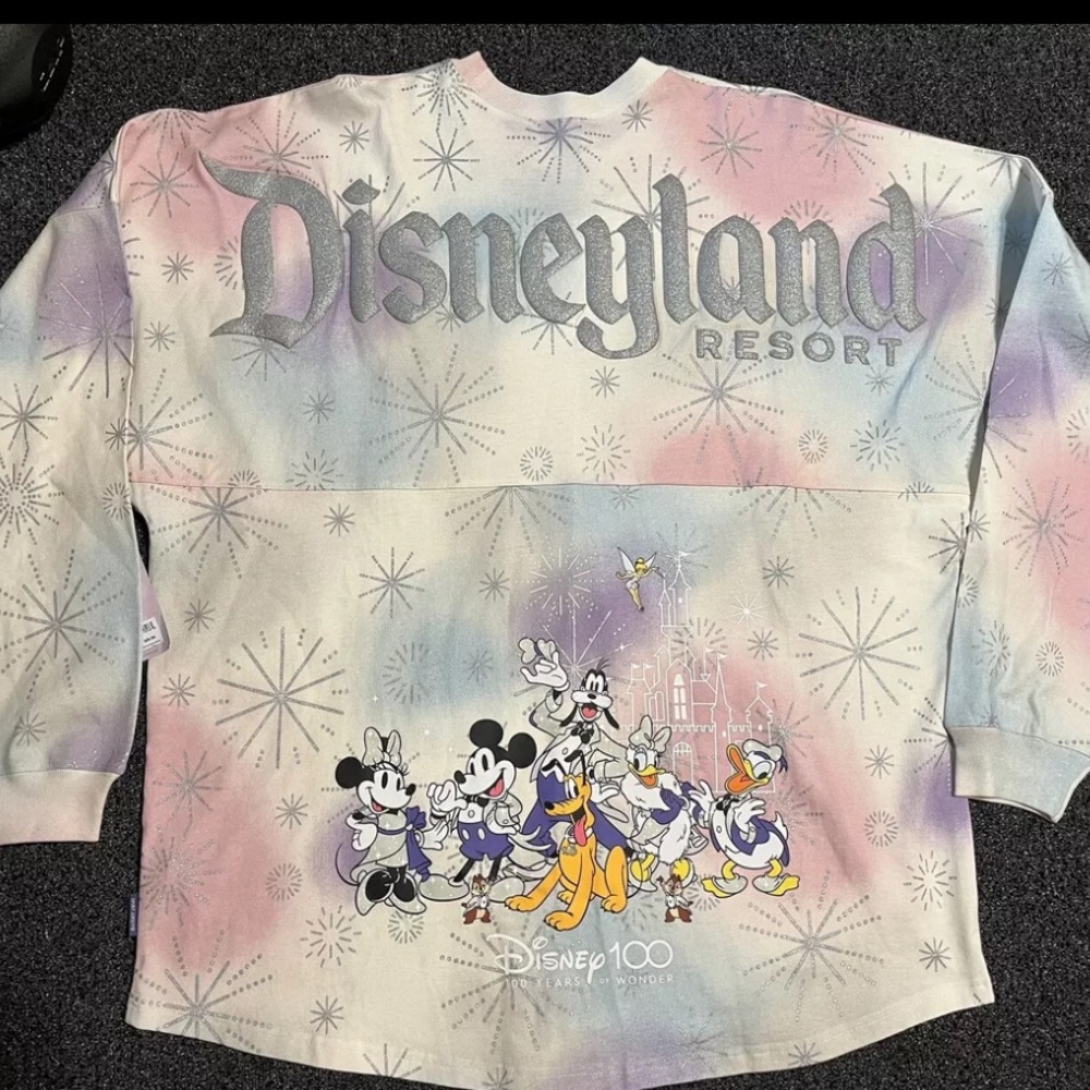 Disney 100th spirit jersey